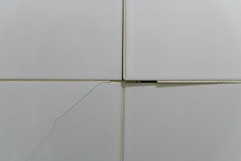 Cracked Tile Repair Service