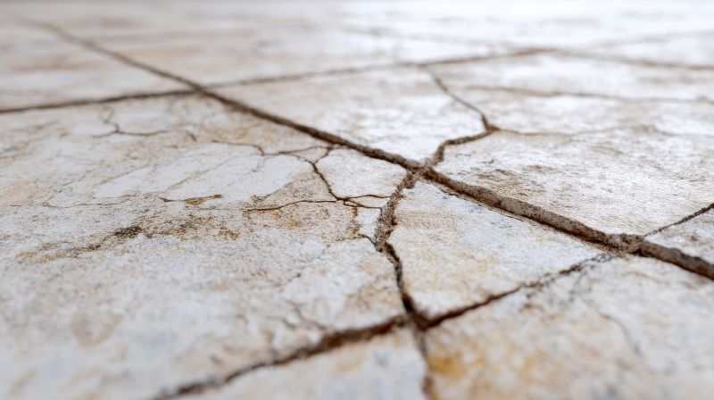 Cracked Tile Repair Service detail