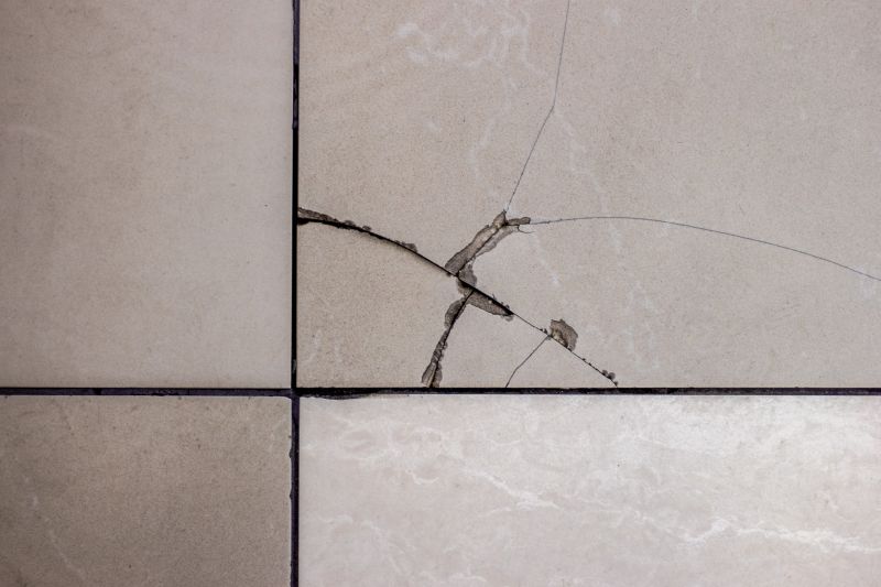 Cracked Tile Repair Service detail